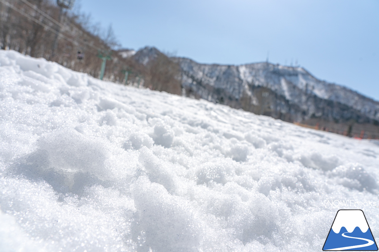 サッポロテイネ｜ついに…本格的な春シーズンが到来！ザクザク雪で凸凹な急斜面が楽しすぎる♪